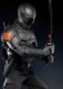 Snake Eyes Covert's picture